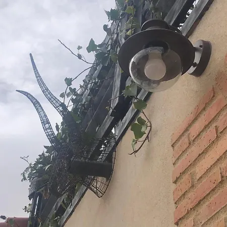 Atelier - Jardin Y Terraza * Velliza