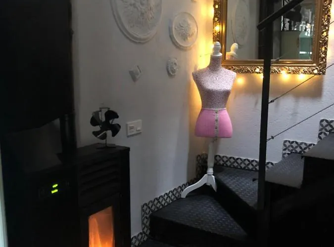 Atelier - Jardin Y Terraza