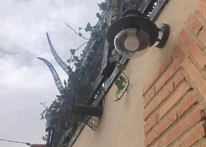 Atelier - Jardin Y Terraza * Velliza