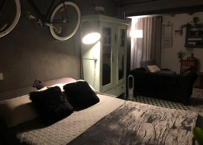 Atelier - Jardin Y Terraza