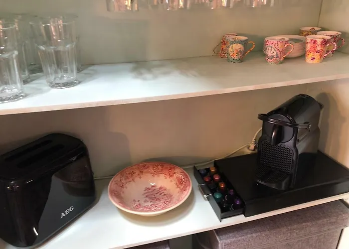 Atelier - Jardin Y Terraza